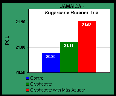 Chart JAMAICA - Sugarcane Ripener Trial